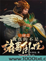 三国之我真不是诸葛卧龙图片