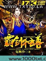霸剑独尊图片
