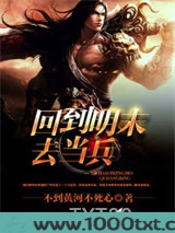回到明末去当兵图片