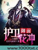 御前护卫花冲