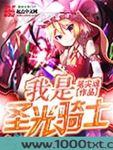 我是圣光骑士图片