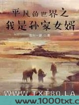 重生大时代之平凡岁月