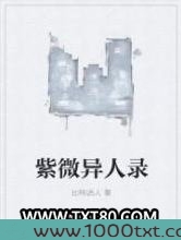 紫微异人录