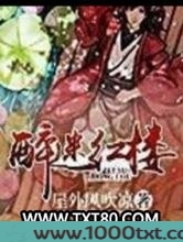 醉迷红楼