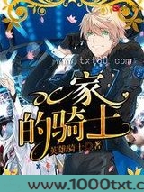 DC家的骑士