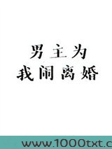 男主为我闹离婚