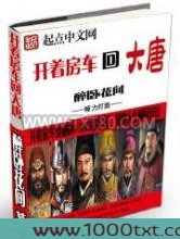 开着房车回大唐图片