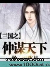 三国之仲谋天下