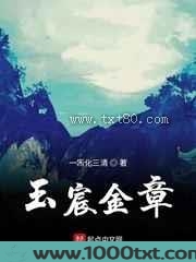 玉宸金章图片
