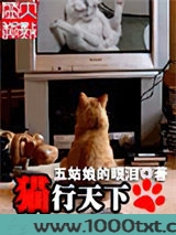 猫行天下图片