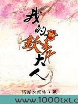 我的钦差大人