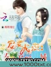 宠妻成瘾：秦少老婆很倾城图片