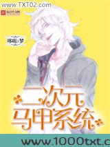 次元马甲系统