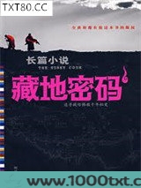 藏地密码图片