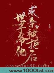 世子爷他求亲被拒后图片