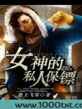 女神的私人保镖图片
