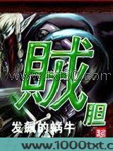 贼胆