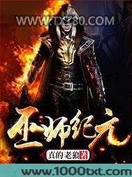 巫师纪元图片