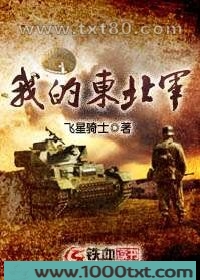 我的东北军图片