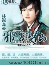 邪丐凌仙图片