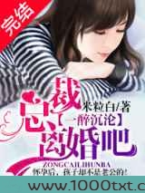 总裁离婚吧