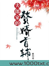 夫郎家的赘婿首辅