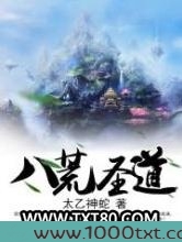 八荒圣道图片