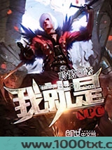 我就是NPC