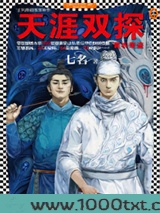 天涯双探：青衣奇盗图片