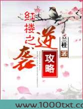 红楼之逆袭攻略
