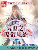 异世之魔武风流图片
