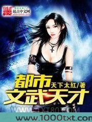 都市文武天才图片