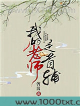 我的老师是首辅