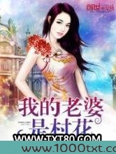 我的老婆是村花