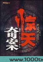 惊天奇冤图片