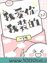 我爱你，我装的