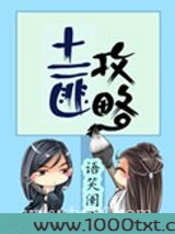 土匪攻略