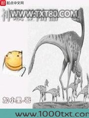 神级登陆器图片