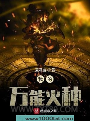 我的万能火种图片