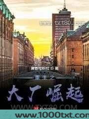 重生之大厂崛起图片