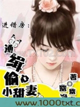 进错房：通缉偷心小甜妻