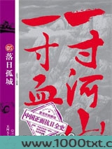 一寸河山一寸血03：落日孤城