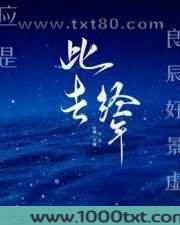 此去经年图片