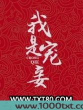 我是宠妾图片