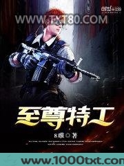 至尊特工