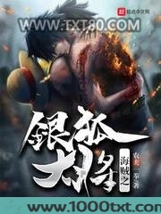 海贼之银狐大将