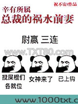 辛有所属：总裁的祸水前妻
