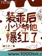 装乖后小少爷他爆红了