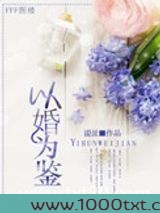 以婚为鉴图片