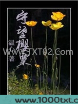 守望樱粟图片